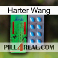 Hard Wang new03